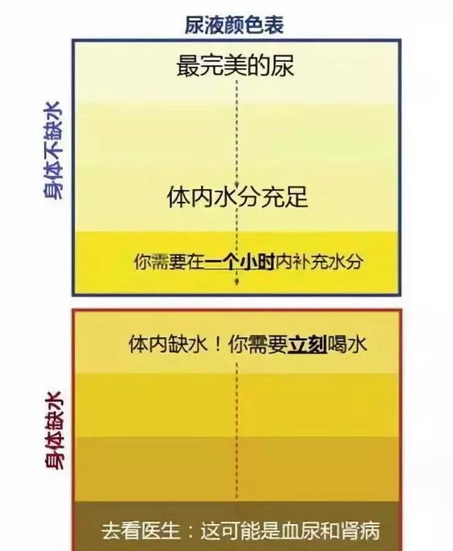 多喝水和少喝水的人，后來會(huì)怎樣？一張表格告訴你